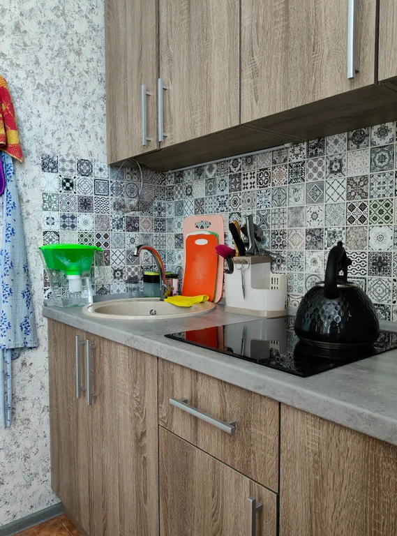 Однокомнатная квартира на Балтийской косе