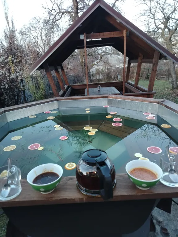 Коттедж Дом в пешей доступности до парка. Дом с банным чаном — Кисловодск