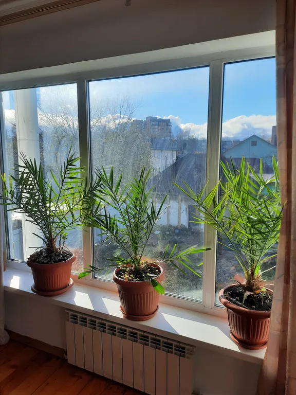 Уютный особняк