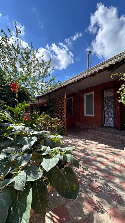 Благоустроенная комната с террасой