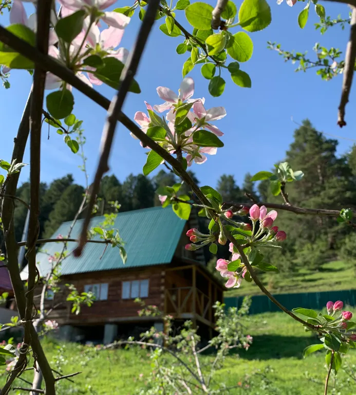 Летний домик из кедра с баней