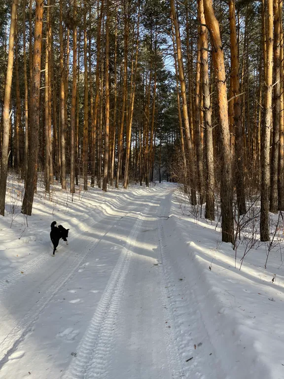 Теремок в горах бревенчатый дом и баня