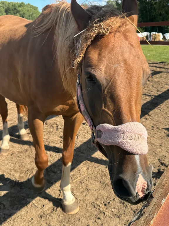 Дом с сауной  в Капитан Клаб