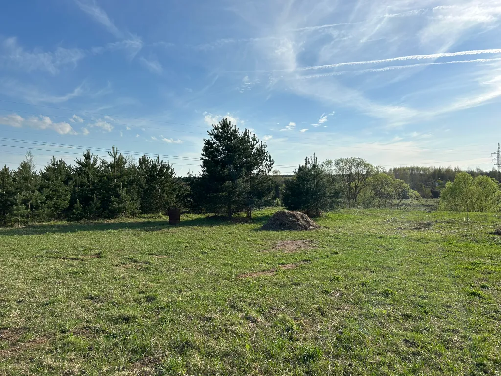 Дом на реке и краю соснового леса