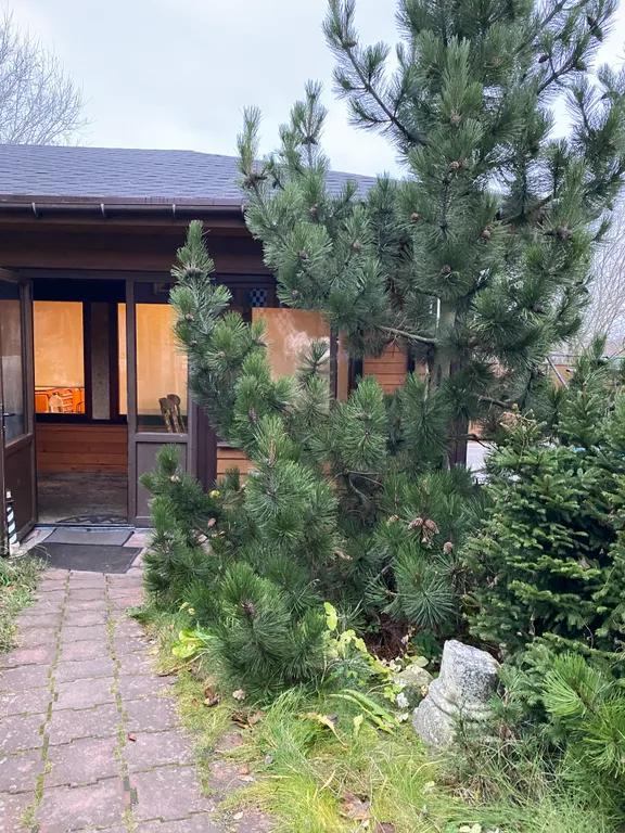 Коттедж Уютный домик в Стрельне с бассейном, русской баней и банным чаном — Санкт-Петербург