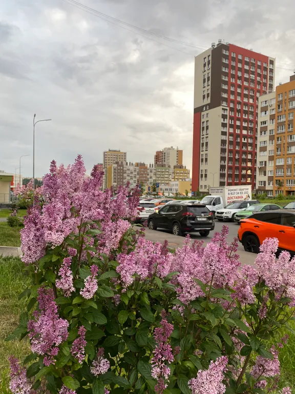 Квартира Квартира Уютная новая студия с гамаком — Нижний Новгород