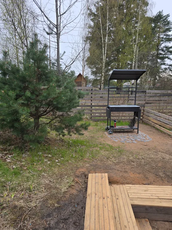 Домик в сосновом лесу