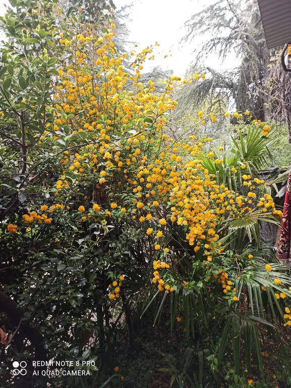 Квартира в 5 минутах от автовокзала