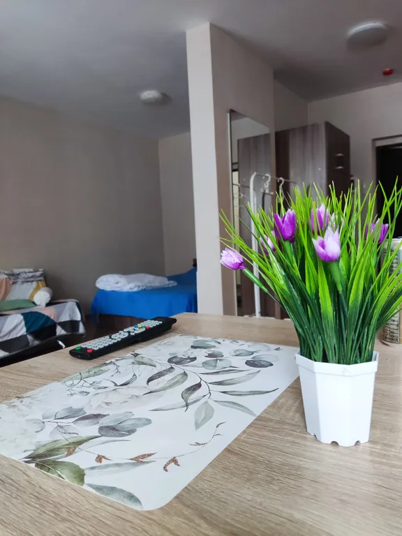 Времена Года