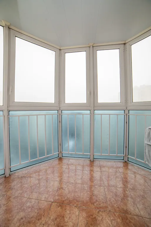 Желтые попугаи в прериях