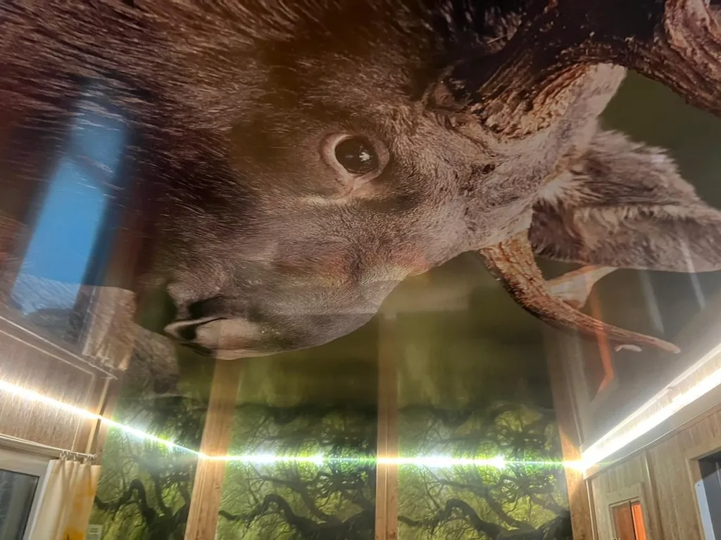 5-комнатный Дом