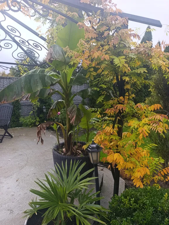 Гостевой дом с бассейном и баней на дровах