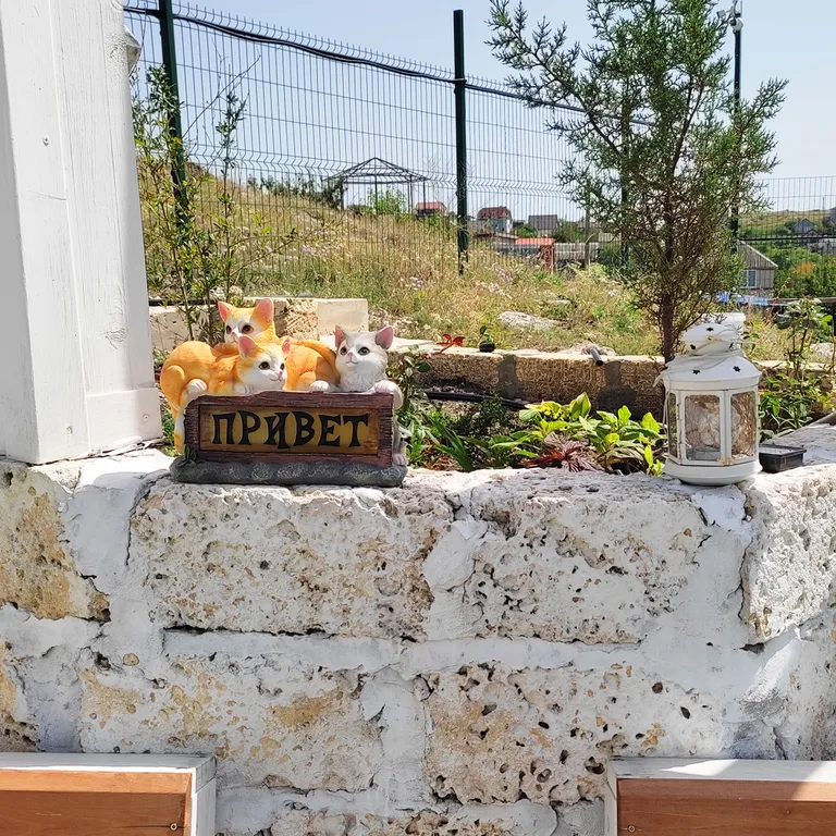 Дом с бассейном на Азовском море Виноград