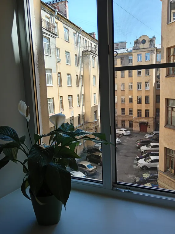 Квартира Квартира Студия в центре, 3 спальных места, Петроградка — Санкт-Петербург