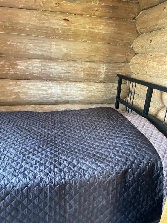 Дом в лесу среди сосен