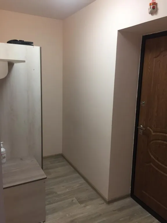 Апартаменты с видом на лес