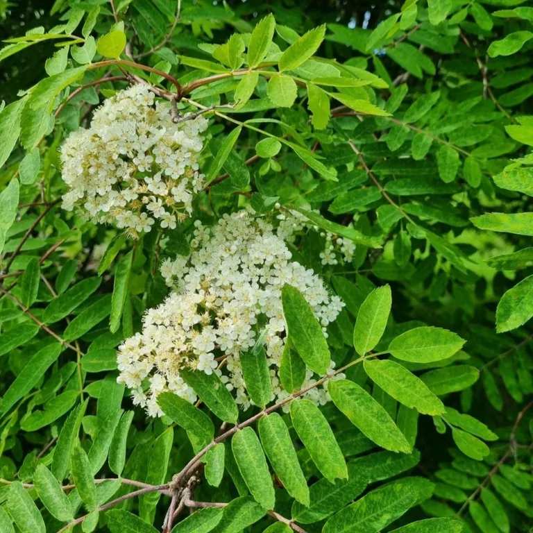 Уютный дом на берегу озера "Прозрачный берег №1"