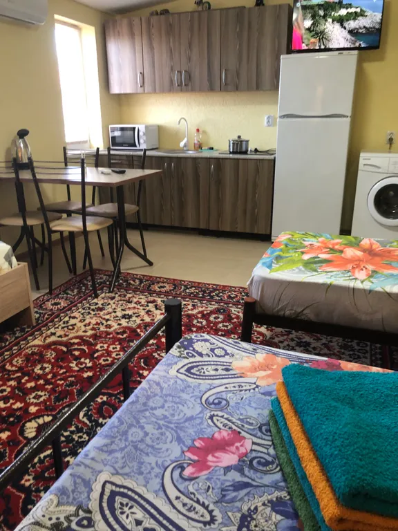 Квартира-студия с кухней и со своей ванной комнатой