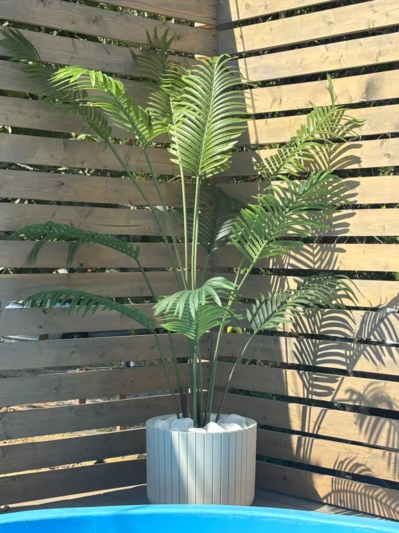 Уютная сфера на побережье