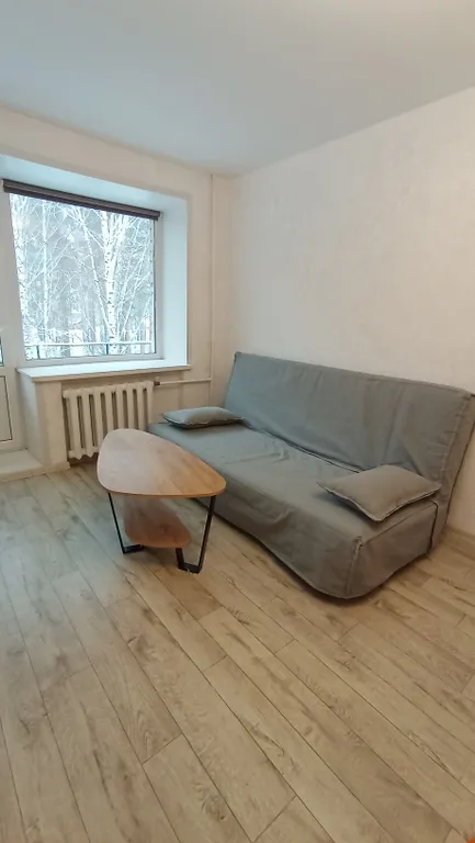 Уютная квартира в центре города с видом на парк