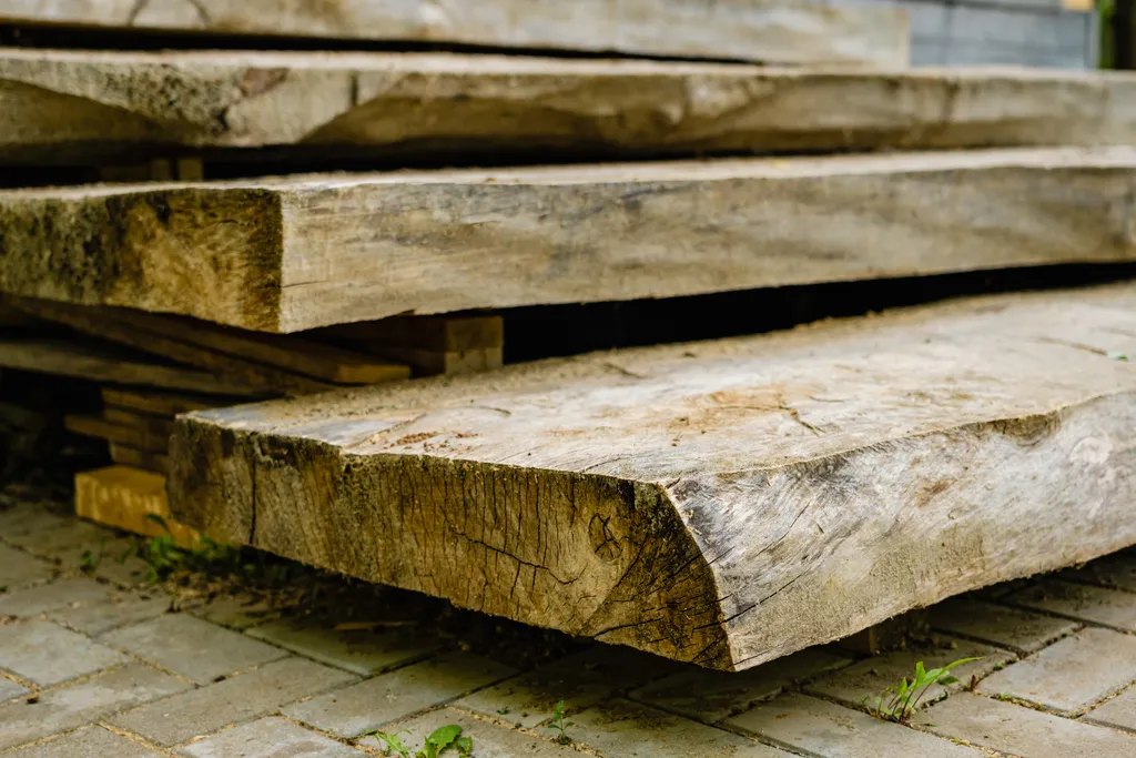 Дом с деревом