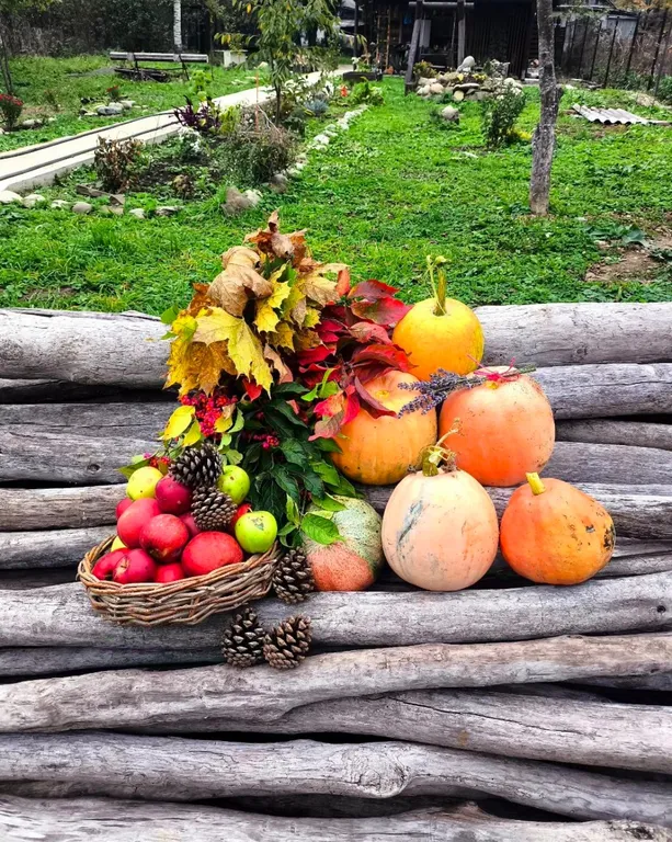 Отдых в горах,недалеко от посёлка Архыз