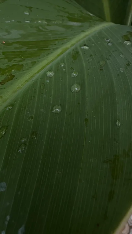 Благоустроенная комната в коттедже с двумя балконами и видом на море.
