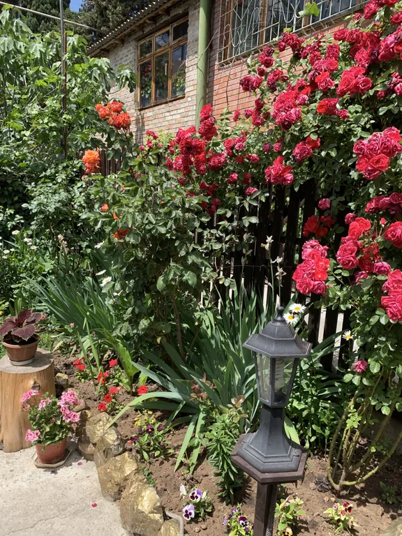 Домик на Ломоносова