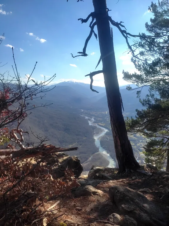 Шале с видом на лес и горы