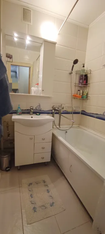 Просторная квартира у соснового бора недалеко от центра города