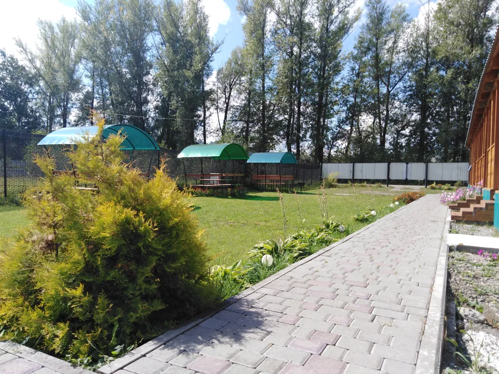 На Алтае на берегу реки Катунь