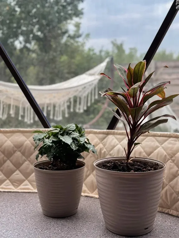 Дача на Коломенке