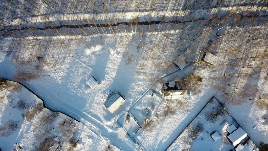 Большое солнечное шале Афрейм с баней и купелью в березовом лесу