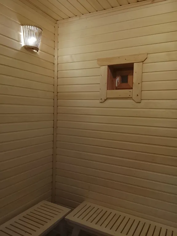 Большой дом А-Фрейм среди молодого елового леса