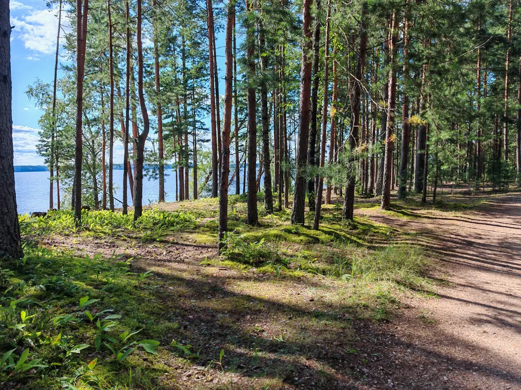 Коттедж Дом с тремя спальнями в турбазе чайка (селигер) — Турбаза Чайка