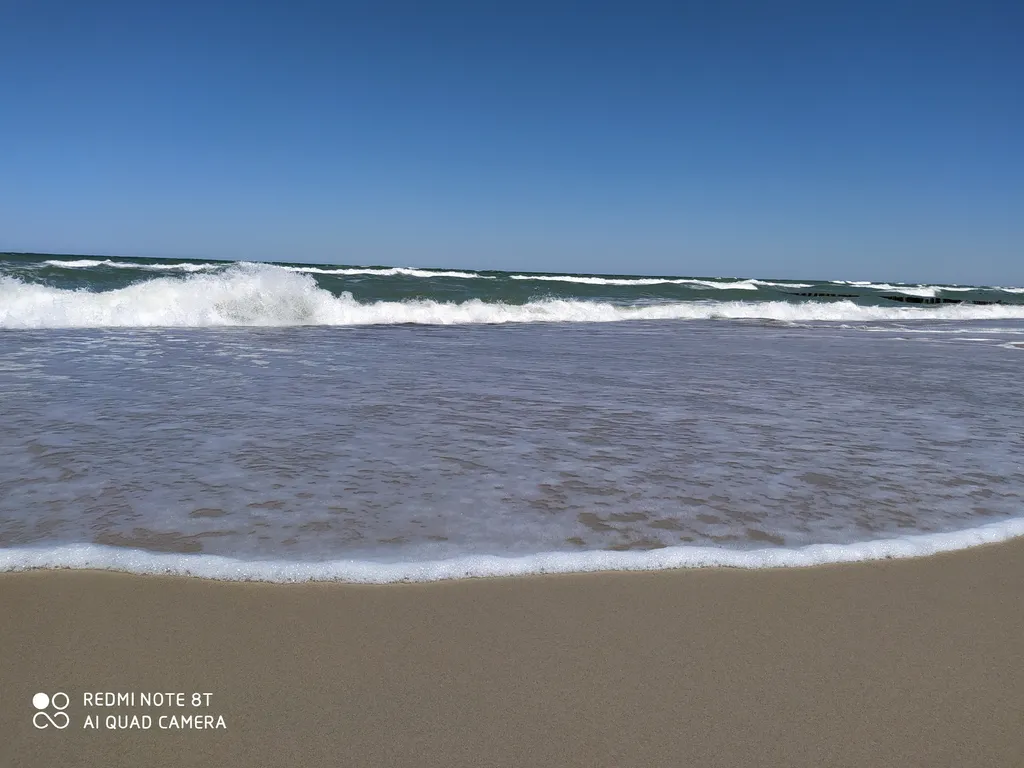 Квартира Уютная квартира с видом на лес — Светлогорск