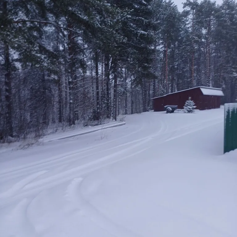Дом в деревне