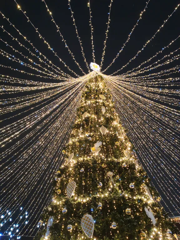 Симпатичные апартаменты в центре