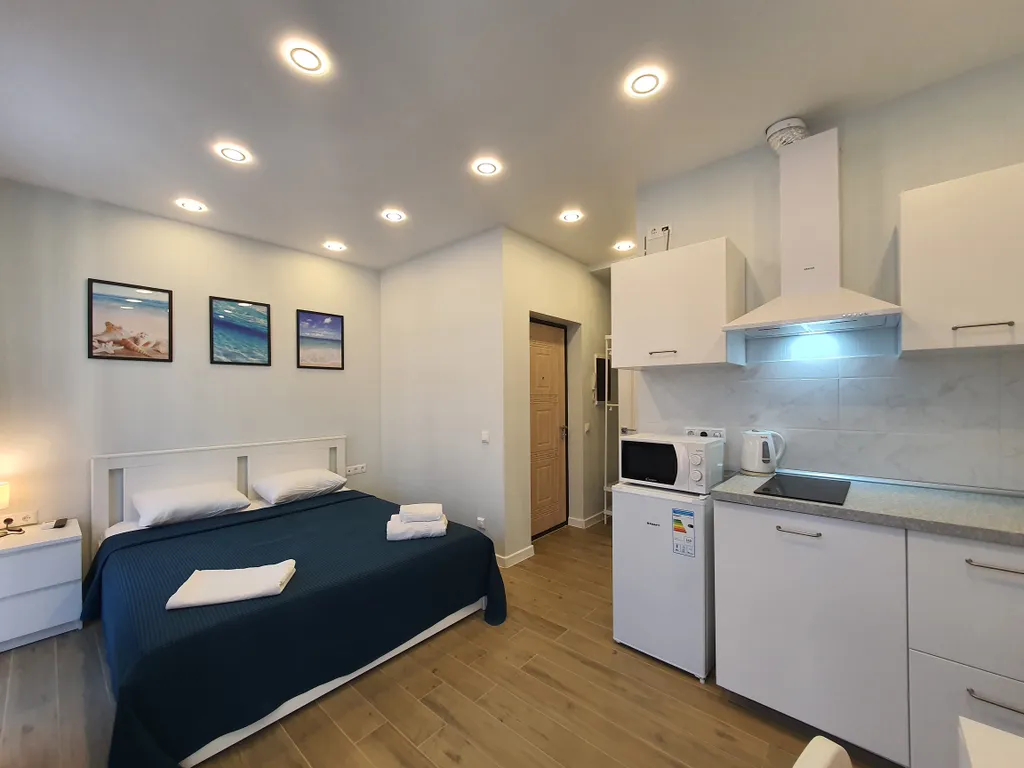 Квартира Квартира Студия loft — Сириус