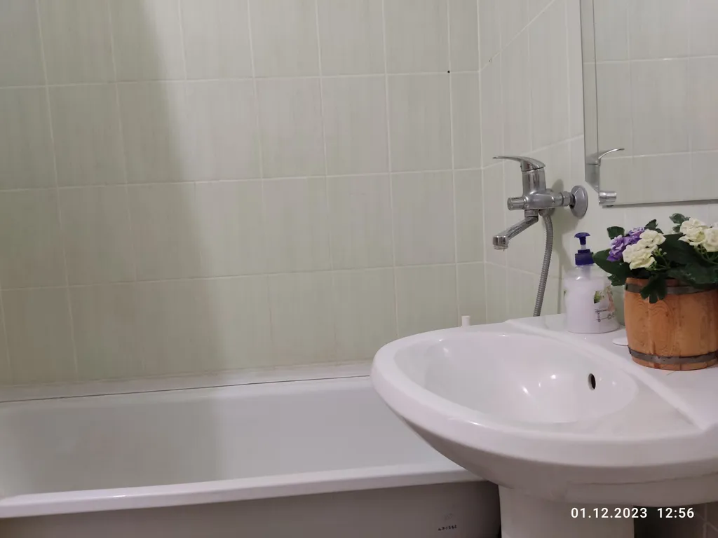 Апартаменты в гостях у Лилии