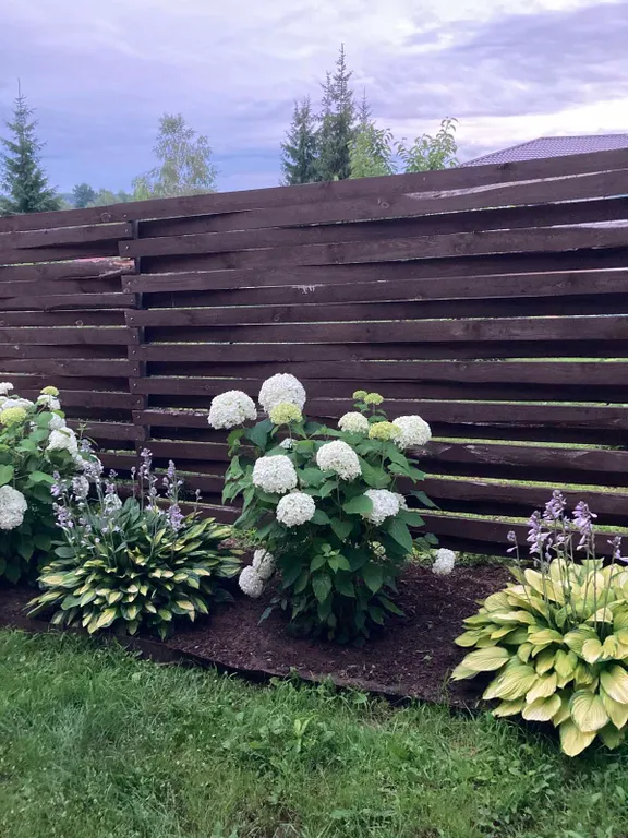 Семейный уют