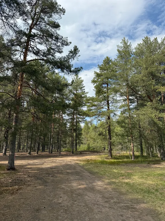 Коттедж 3-комнатный Дом — Деревянное