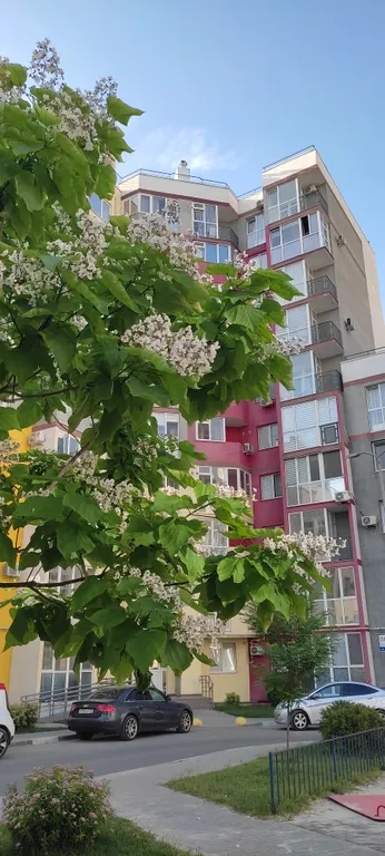 Квартира Уютная квартира с отдельной спальней и гостиной — Симферополь