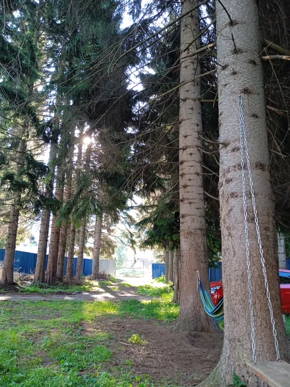 Гостевой дом Лесная сказка