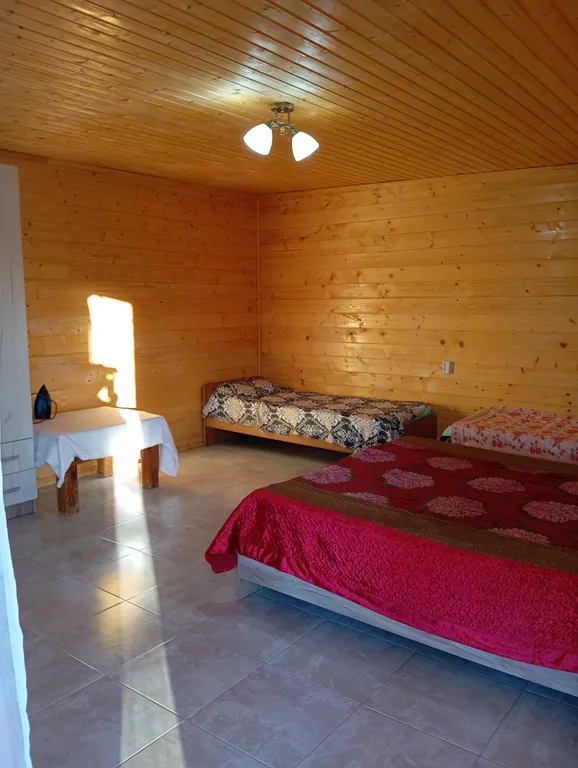 Квартира Уютная квартира-апартамент в с. Лдзааа — Рапица