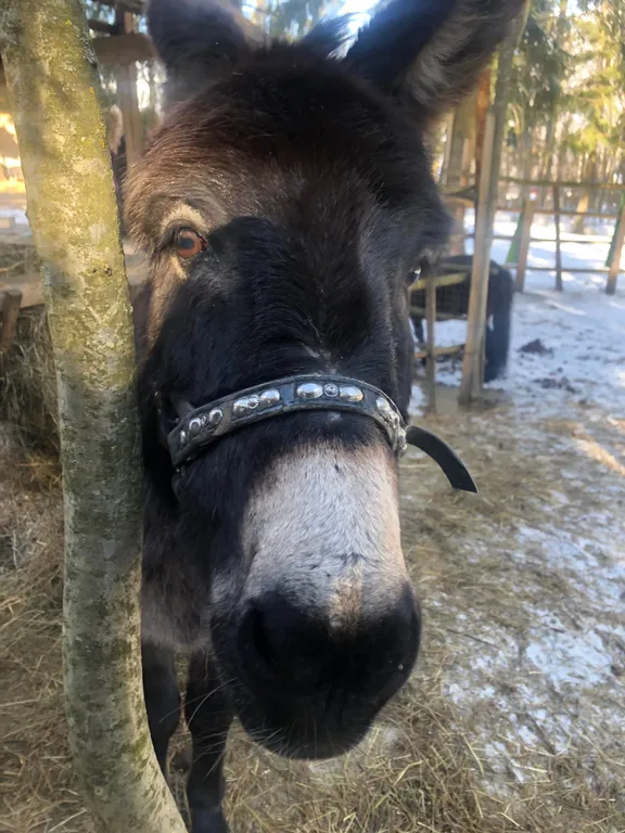 Уютный дом у Рузского водохранилища