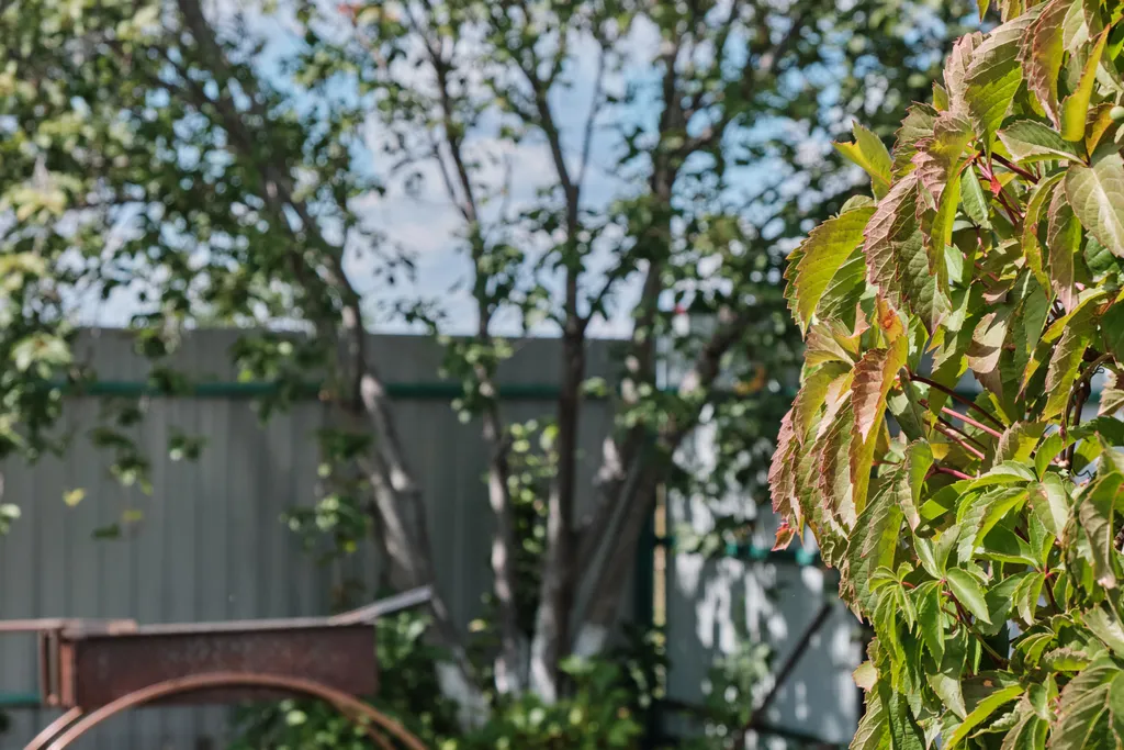 Дом с баней вдали от всех