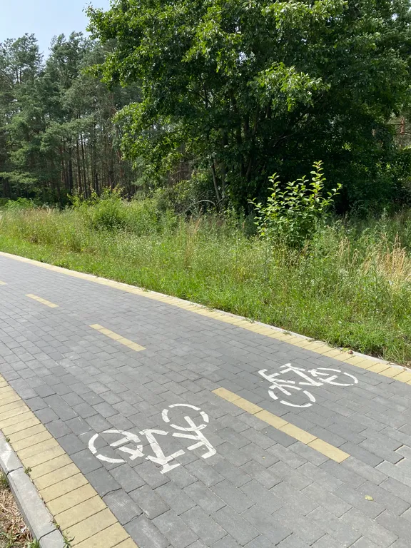 Квартира Квартира Первая линия у моря — Зеленоградск