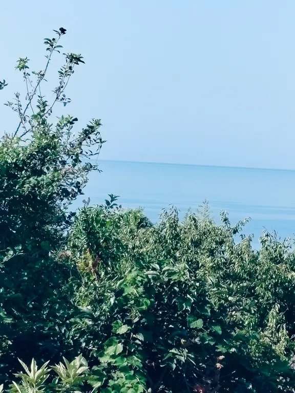 Коттедж Домик у моря этаж под ключ — Сочи