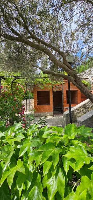 Солнце Ялты